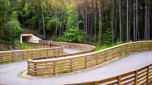 A walking track winds through a green woody area.